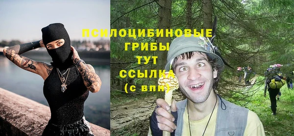 шишки Алзамай