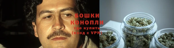 шишки Алзамай