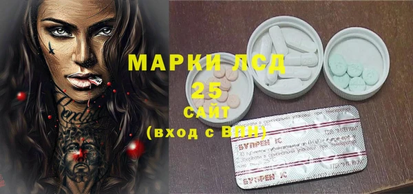 шишки Алзамай