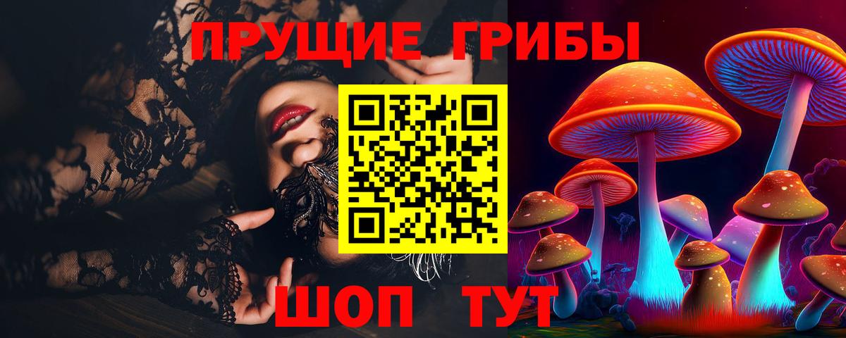 Псилоцибиновые грибы Psilocybe Саки